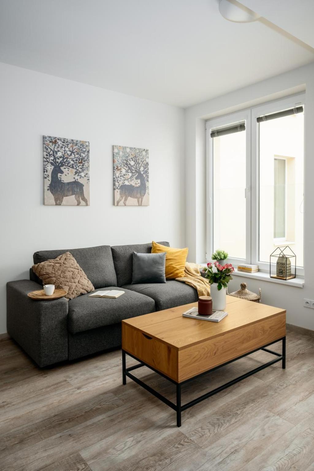 Apartment Three Bedroom Aparment With Terrace By Days Prague