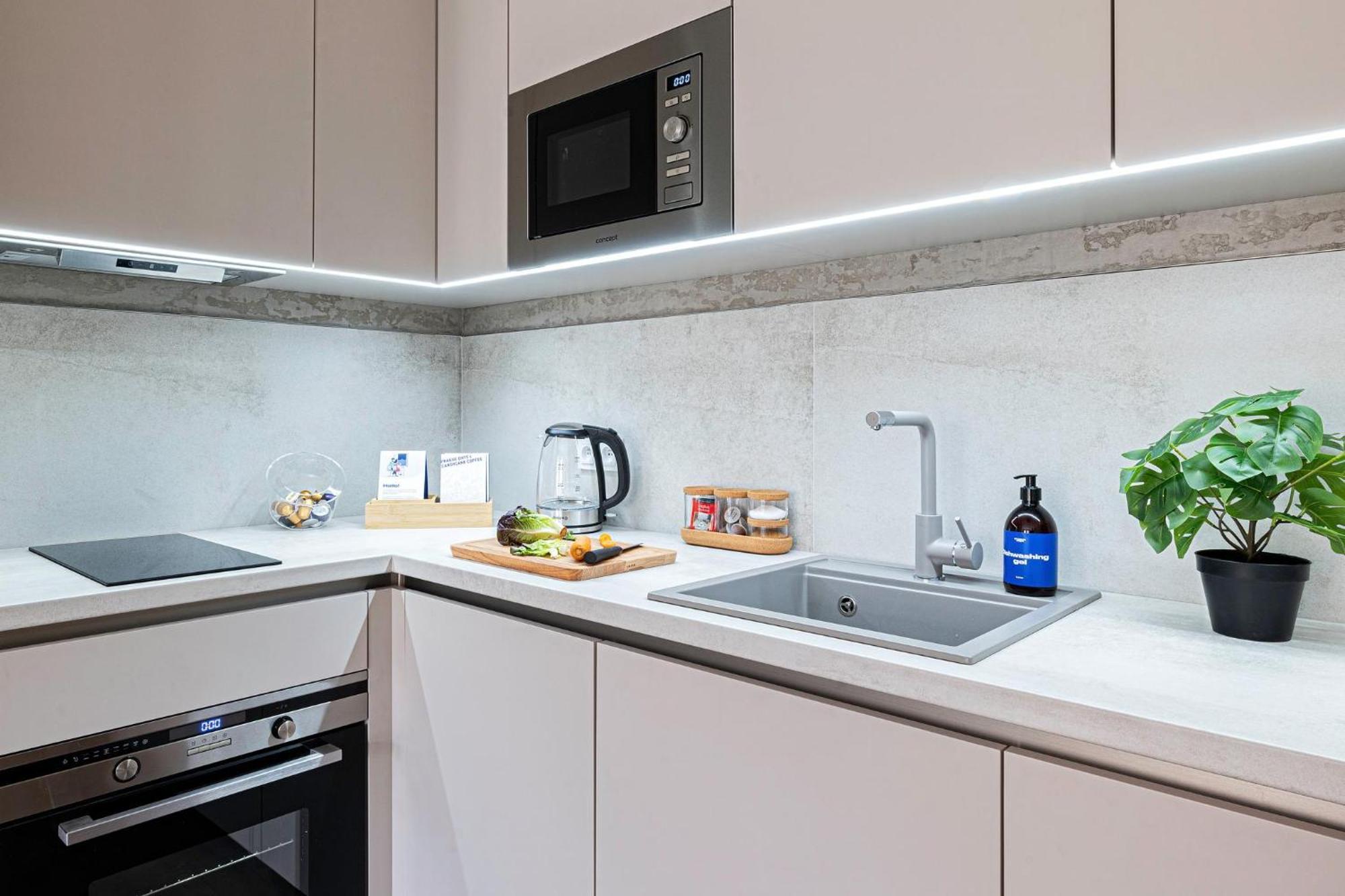 Three Bedroom Aparment With Terrace By Days * Prague