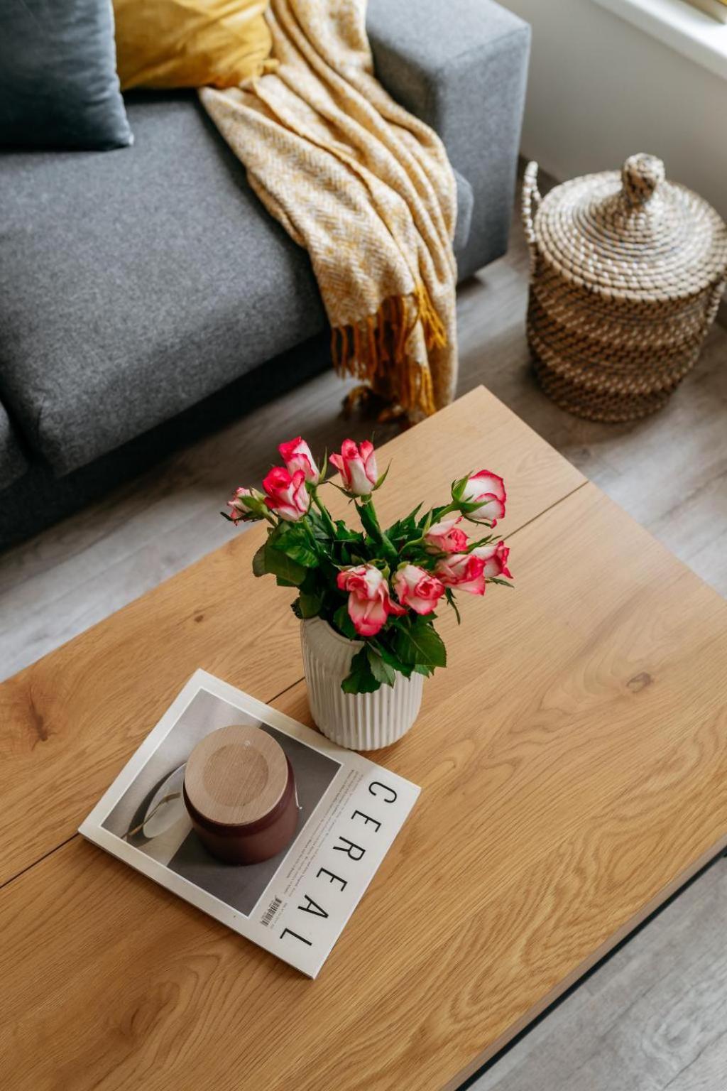Apartment Three Bedroom Aparment With Terrace By Days *